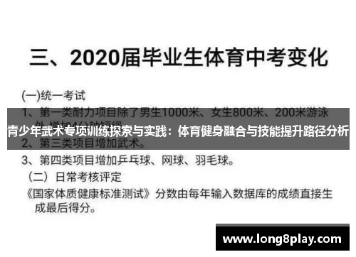 青少年武术专项训练探索与实践：体育健身融合与技能提升路径分析